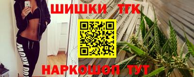 СК Шахты