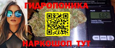 гашик Шебекино