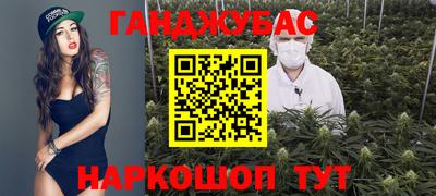 гашик Шебекино