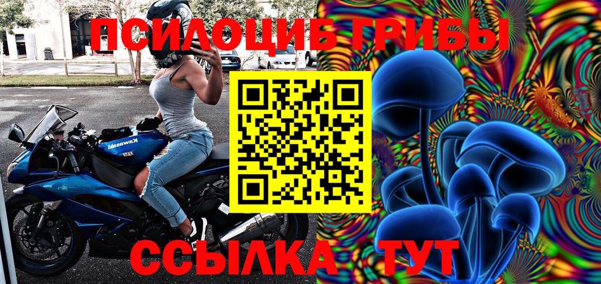 Галлюциногенные грибы MAGIC MUSHROOMS  Вход с VPN  Подольск 
