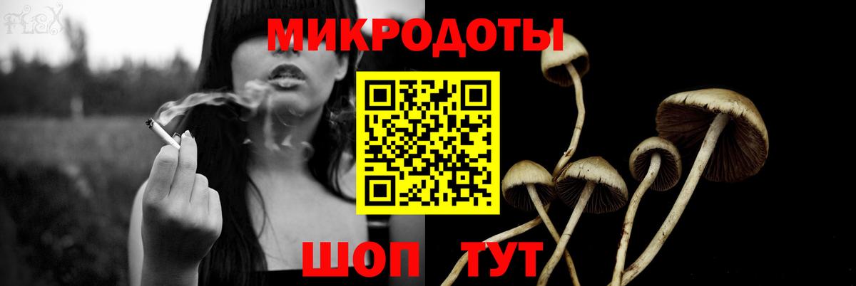 Псилоцибиновые грибы мухоморы Подольск